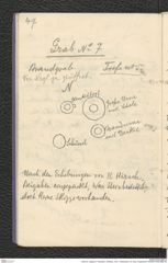 Seite 63, Tagebuch "Dürnstein | Wöbling - neol. | Höbenbach | Kl. Rust | Noppendorf" (NHMW-PRAE-BBB-45)